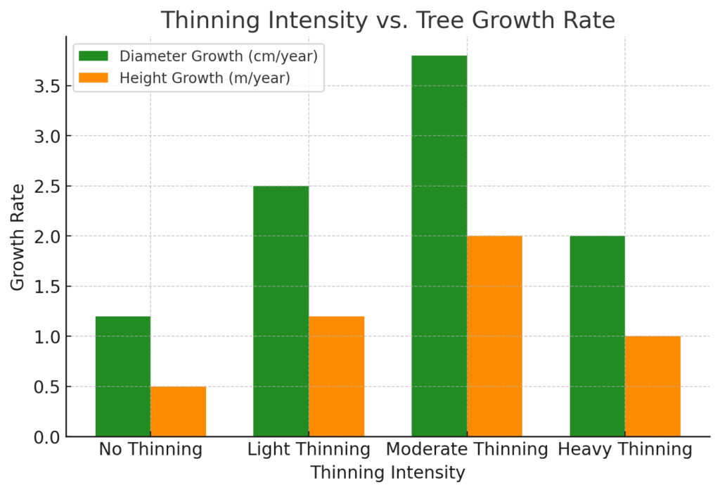 High-quality Timber Production